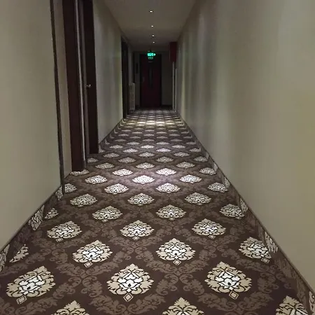 阿迪克酒店 酒店 3*