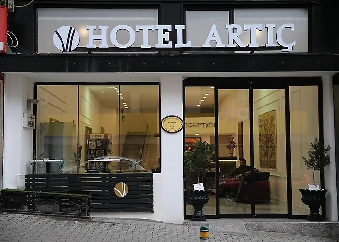 Artic Hotel Bursa